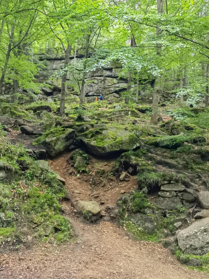 Osrodek Wypoczynkowy Nad Wodospadem Przesieka Exterior foto